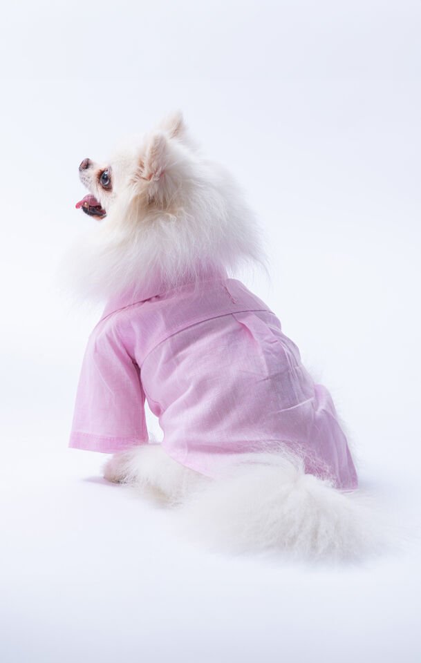 Küçük Irk Pembe Keten Gömlek