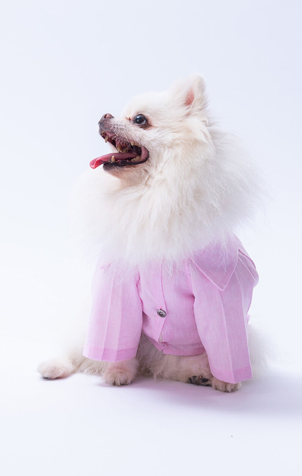 Küçük Irk Pembe Keten Gömlek