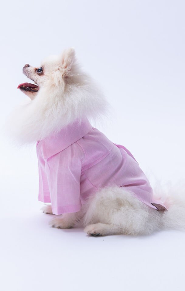 Küçük Irk Pembe Keten Gömlek