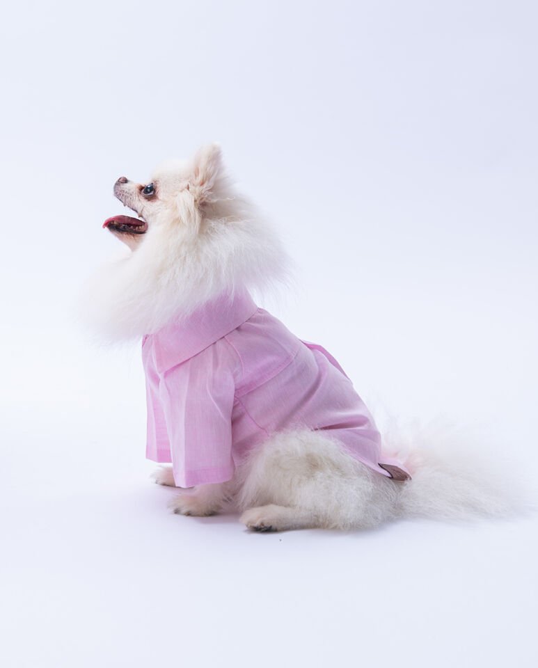 Büyük Irk Pembe Keten Gömlek