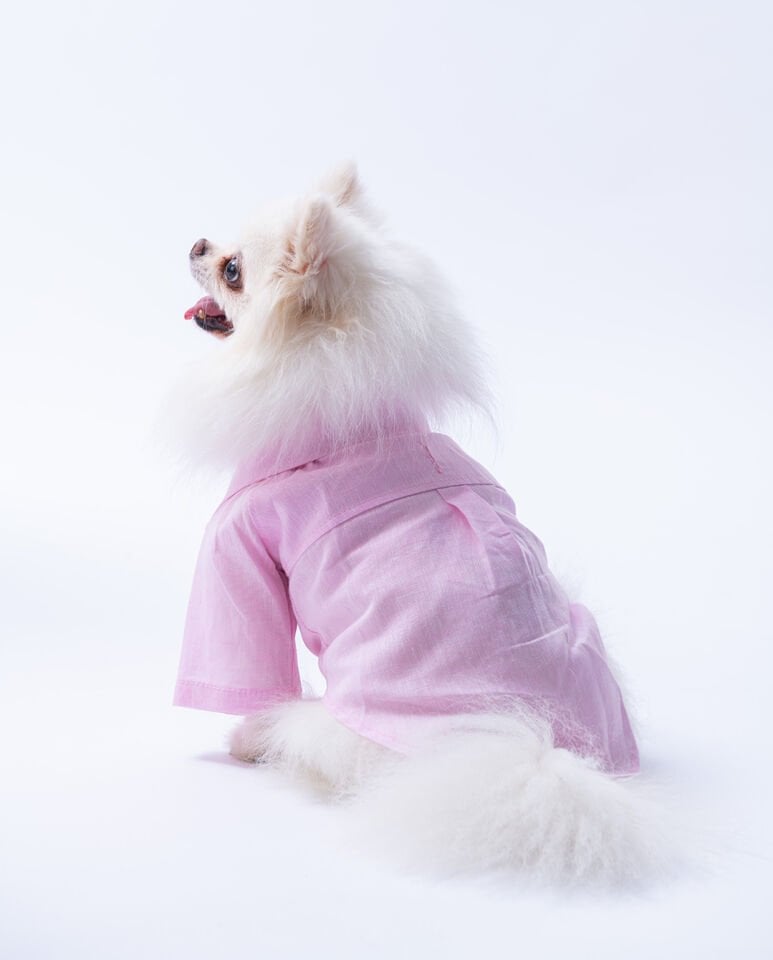 Büyük Irk Pembe Keten Gömlek