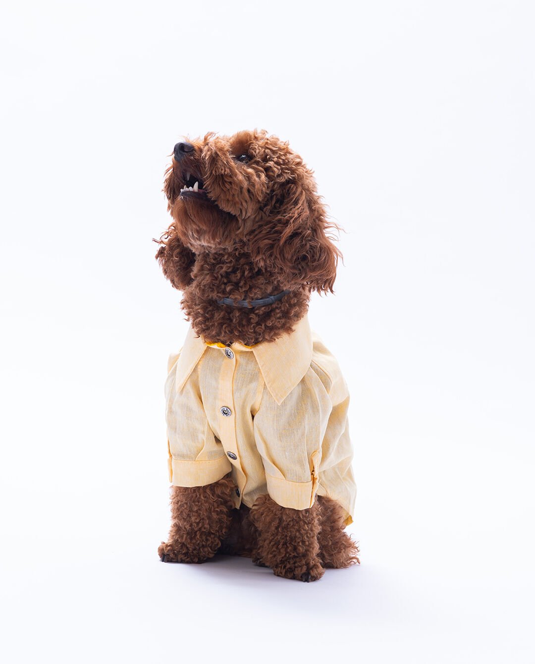 Küçük Irk Somon Keten Gömlek