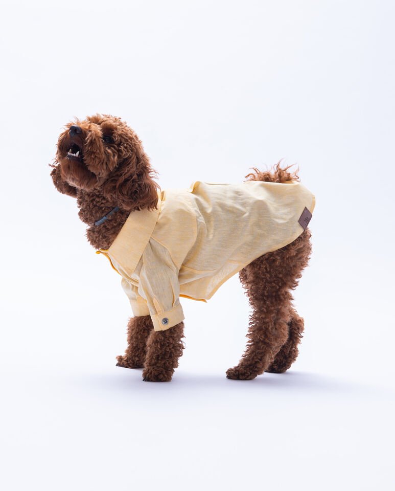 Küçük Irk Somon Keten Gömlek