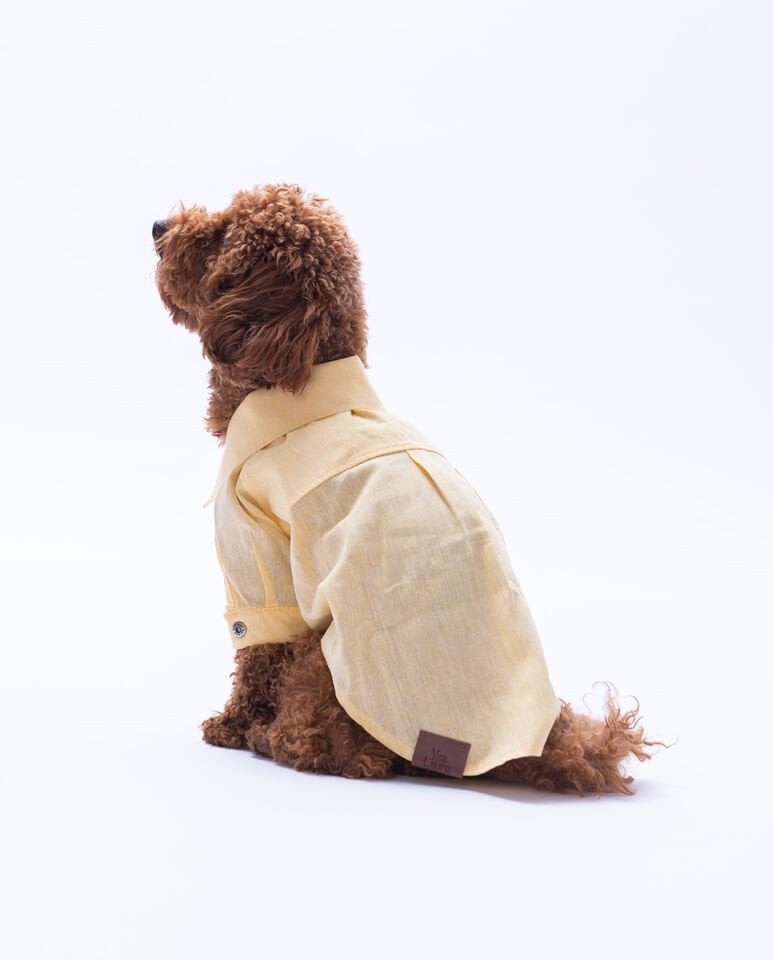 Küçük Irk Somon Keten Gömlek