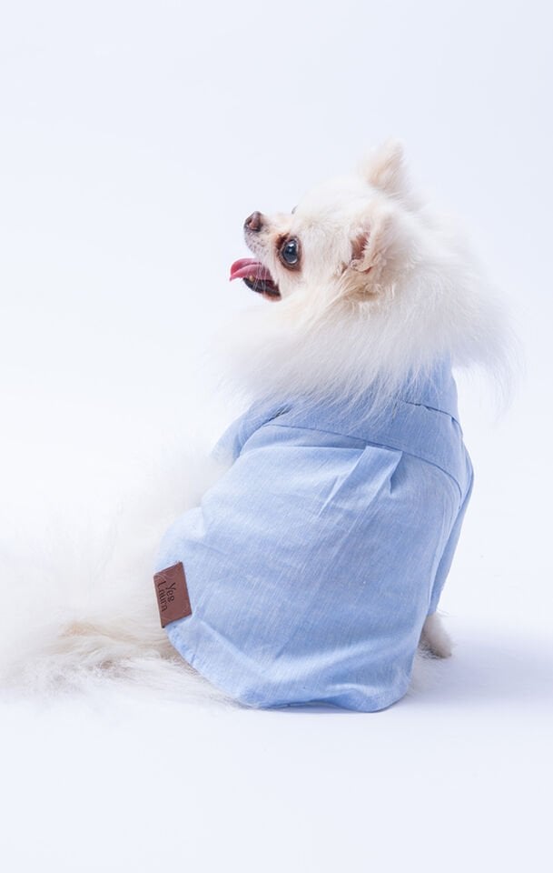 Küçük Irk Mavi Keten Gömlek