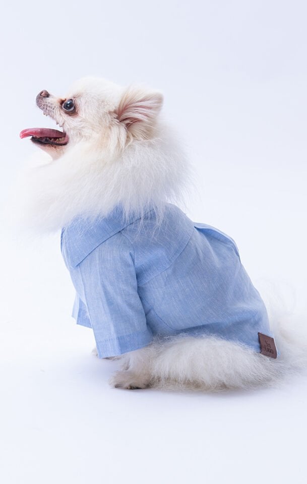 Küçük Irk Mavi Keten Gömlek