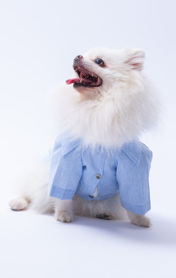 Küçük Irk Mavi Keten Gömlek