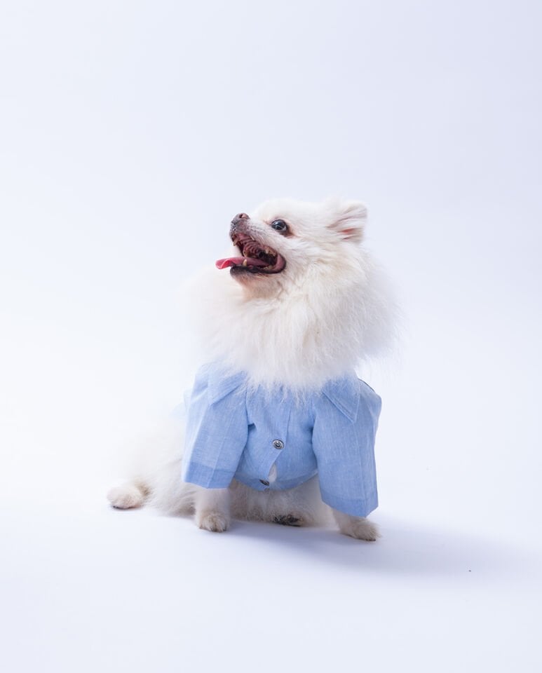 Büyük Irk Mavi Keten Gömlek