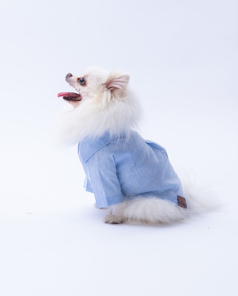 Büyük Irk Mavi Keten Gömlek