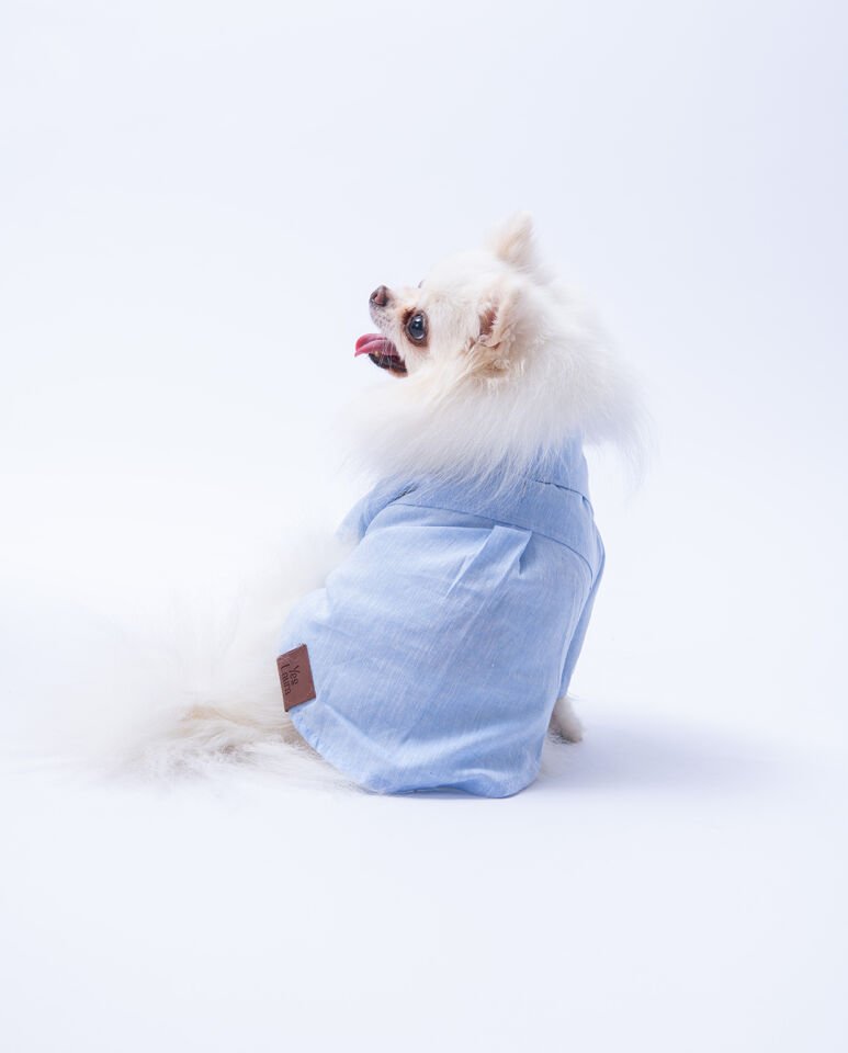 Büyük Irk Mavi Keten Gömlek