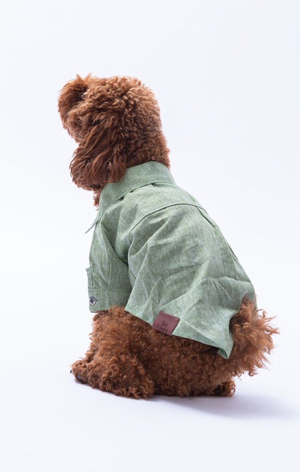 Küçük Irk Yeşil Keten Gömlek