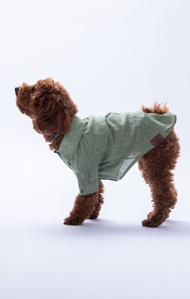 Küçük Irk Yeşil Keten Gömlek