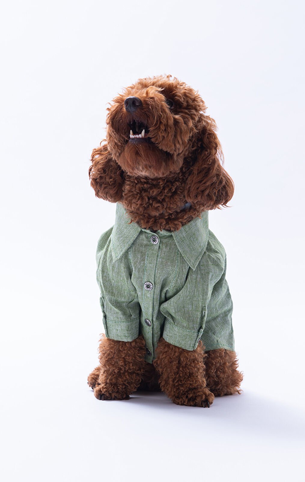 Küçük Irk Yeşil Keten Gömlek