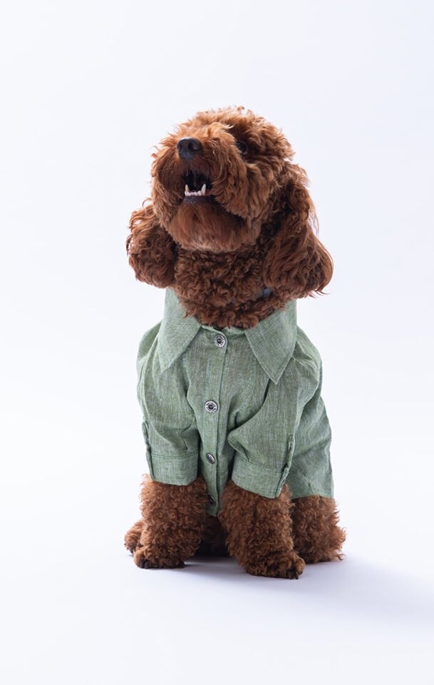 Küçük Irk Yeşil Keten Gömlek