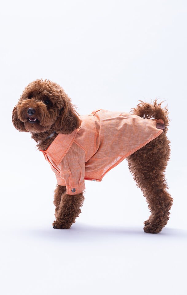 Küçük Irk Turuncu Keten Gömlek