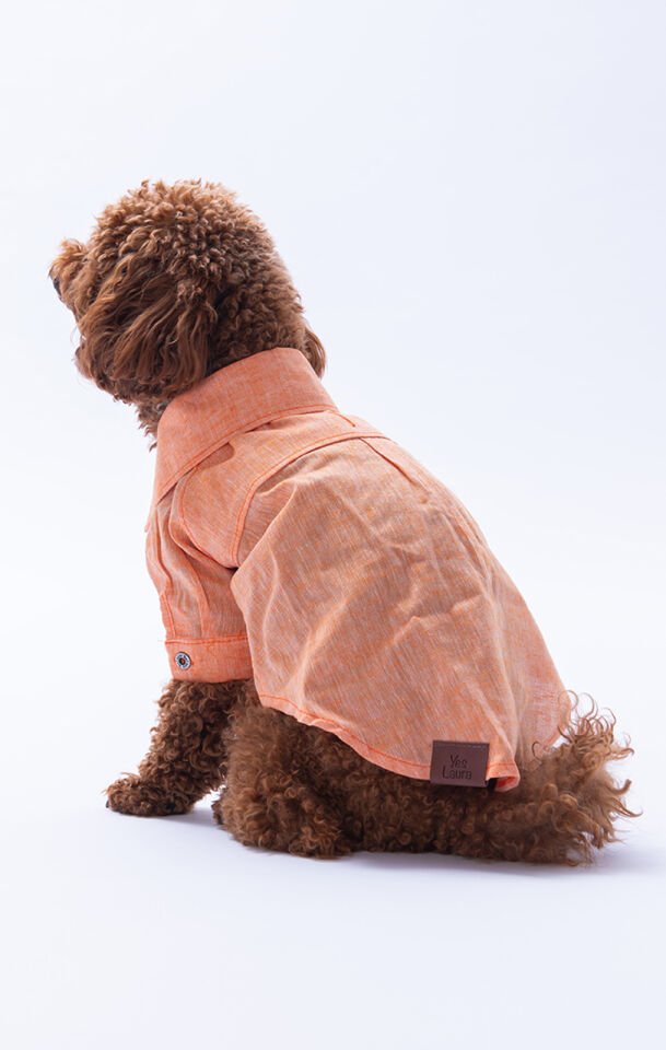 Küçük Irk Turuncu Keten Gömlek