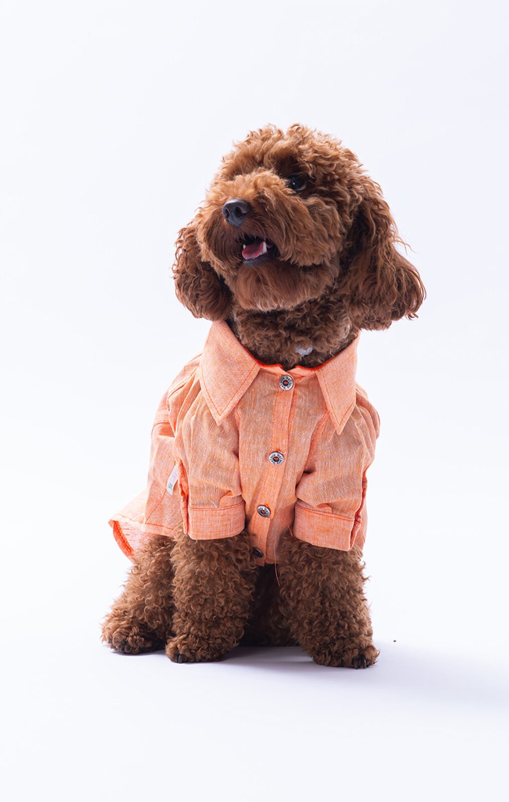 Küçük Irk Turuncu Keten Gömlek