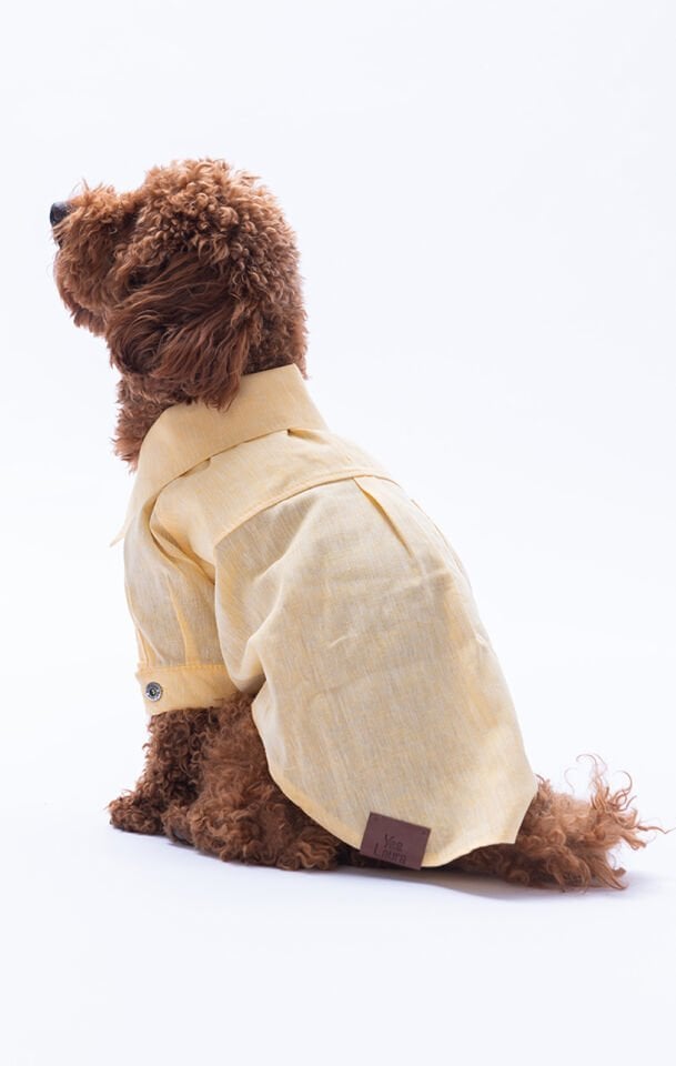 Küçük Irk Sarı Keten Gömlek