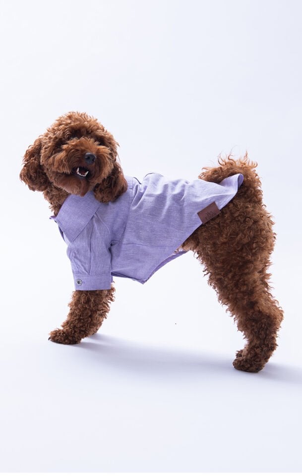 Küçük Irk Lila Keten Gömlek