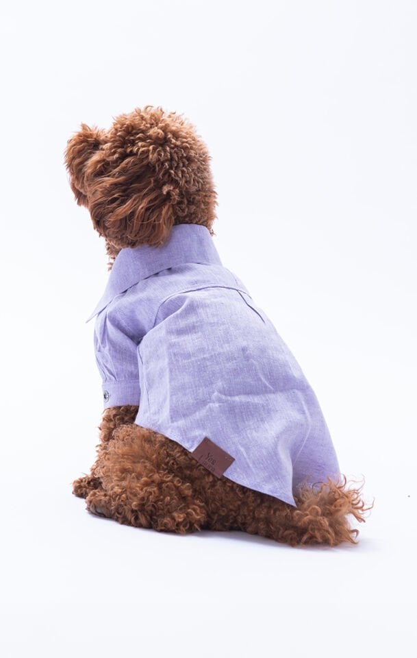 Küçük Irk Lila Keten Gömlek