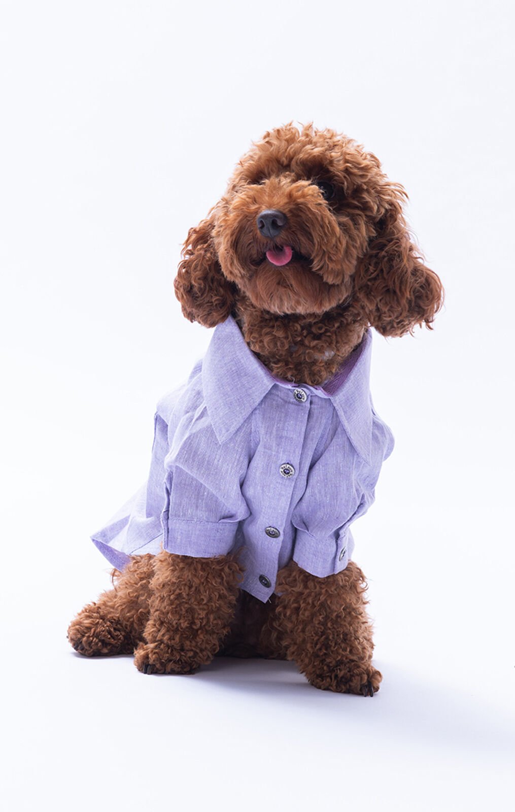 Küçük Irk Lila Keten Gömlek