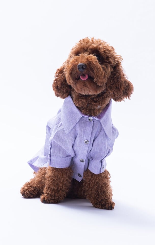 Küçük Irk Lila Keten Gömlek