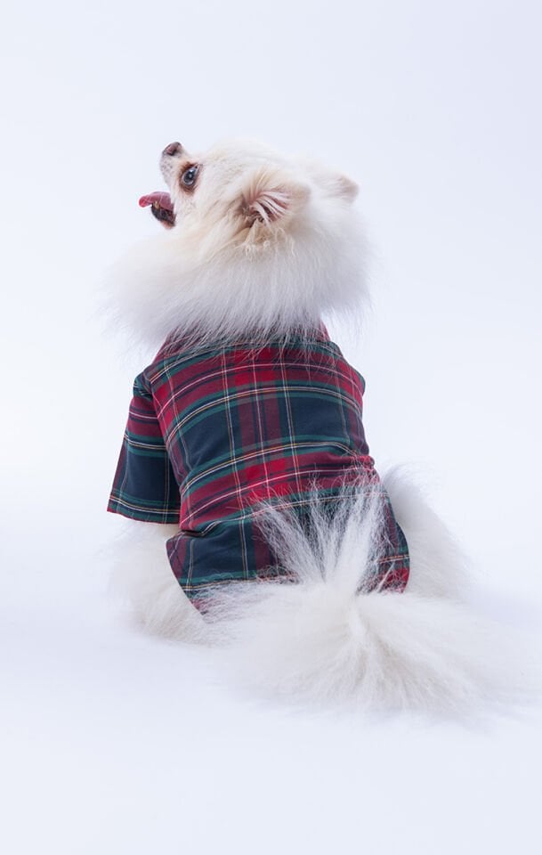 Küçük Irk Kareli Kırmızı Keten Gömlek