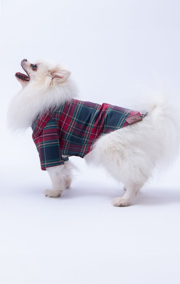 Küçük Irk Kareli Kırmızı Keten Gömlek