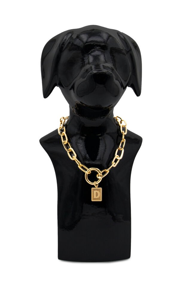 Köpek ve Kedi Altın Kaplama Harf Tasarımlı Zincir Kolye