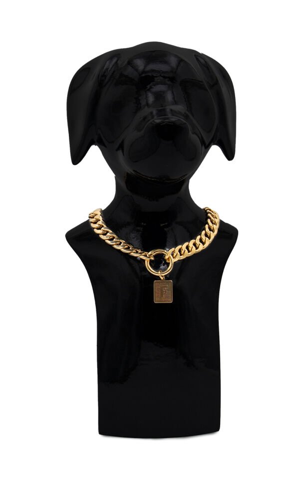 Köpek ve Kedi Altın Kaplama Harf Tasarımlı Zincir Kolye