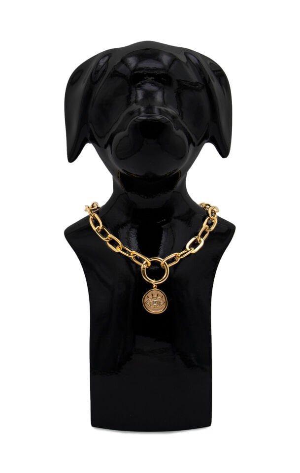 Köpek ve Kedi Altın Kaplama Taşlı Göz Tasarımlı Zincir Kolye