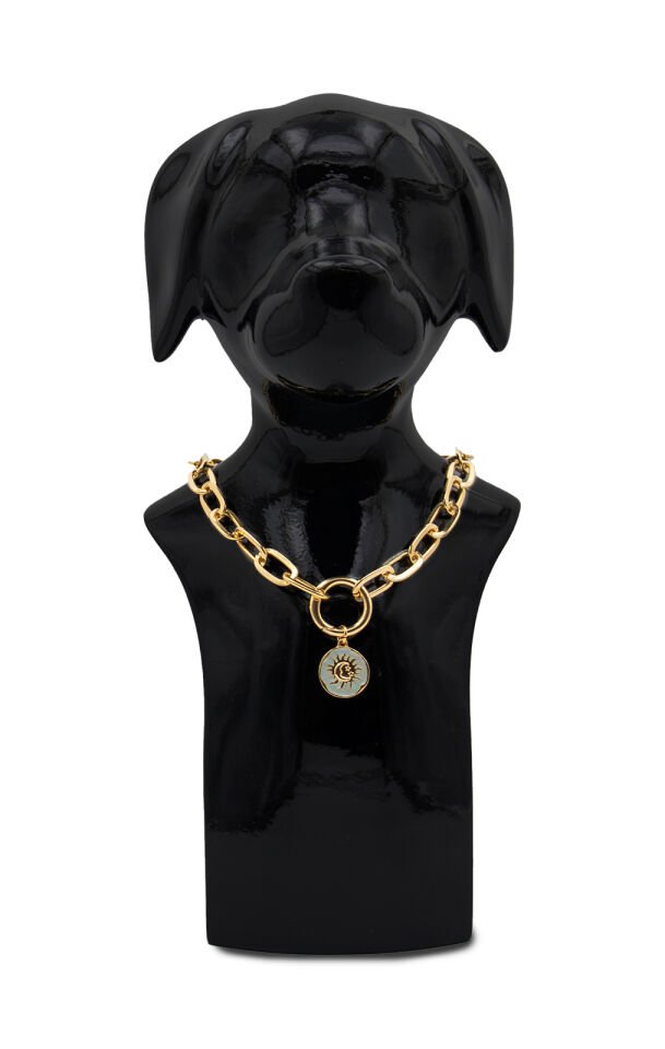 Köpek ve Kedi Altın Kaplama Beyaz Mineli Güneş Tasarımlı Zincir Kolye