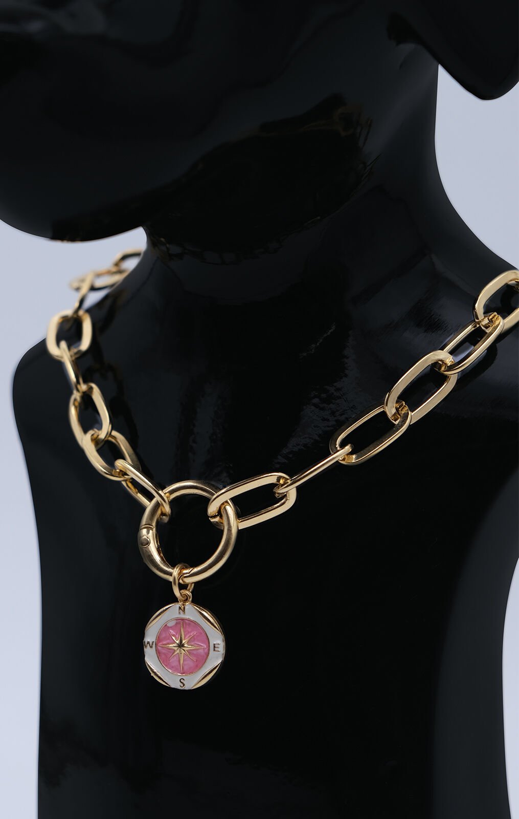 Köpek ve Kedi Altın Kaplama Renkli Mineli Pusula Tasarımlı Zincir Kolye