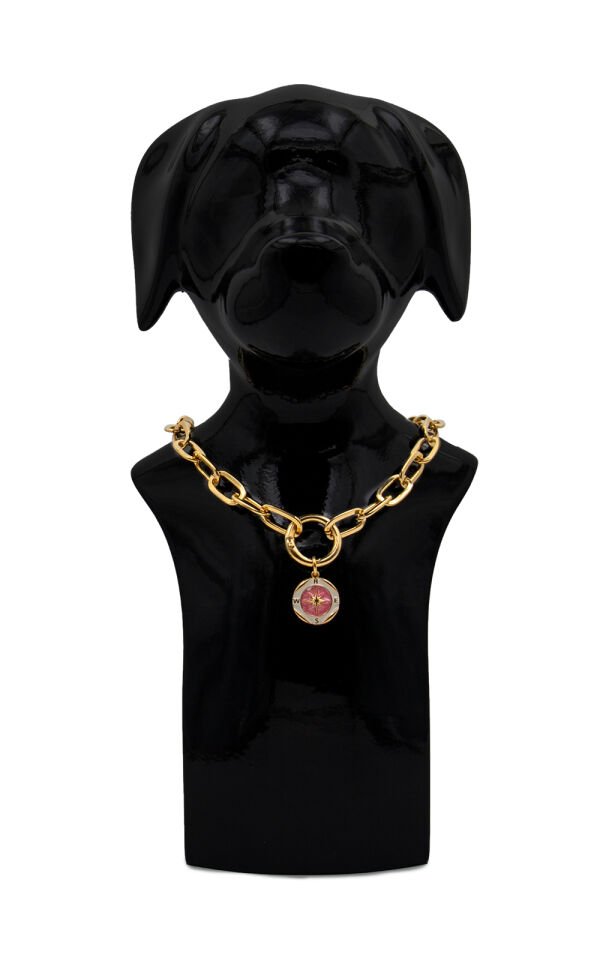 Köpek ve Kedi Altın Kaplama Renkli Mineli Pusula Tasarımlı Zincir Kolye