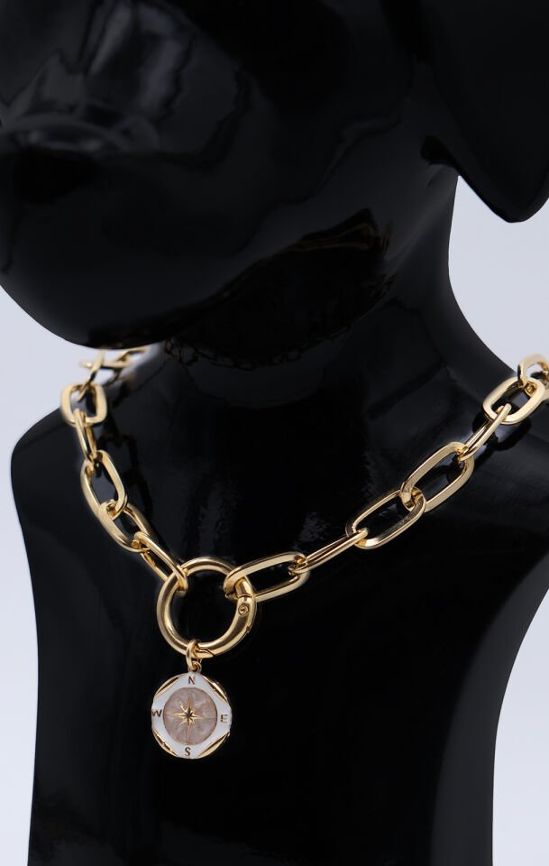 Köpek ve Kedi Altın Kaplama Renkli Mineli Pusula Tasarımlı Zincir Kolye