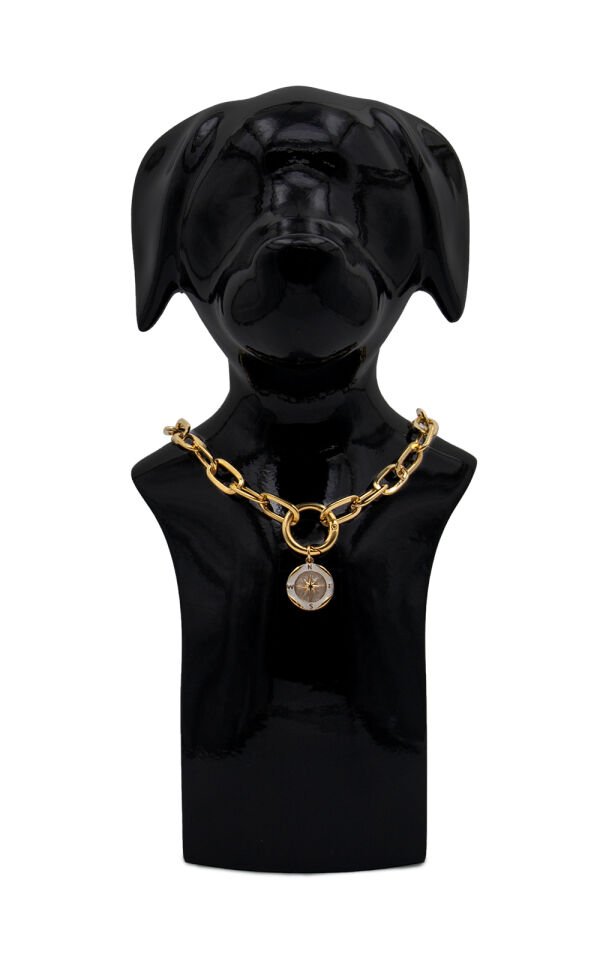 Köpek ve Kedi Altın Kaplama Renkli Mineli Pusula Tasarımlı Zincir Kolye