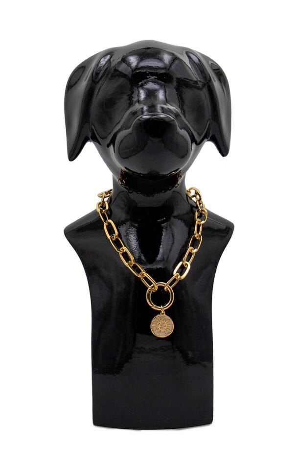 Köpek ve Kedi Altın Kaplama Güneş Tasarımlı Zincir Kolye