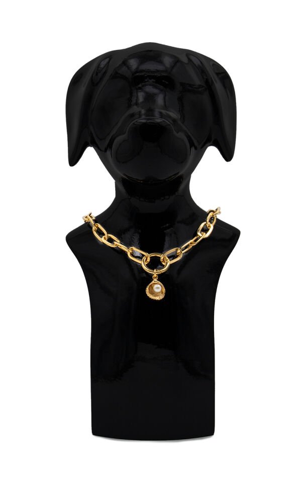 Köpek ve Kedi Altın Kaplama İnci Tasarımlı Zincir Kolye