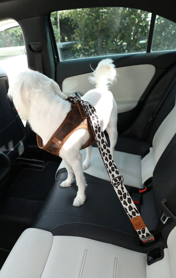 Siyah Beyaz Leopar Desenli Evcil Hayvan Araba Emniyet Kemeri