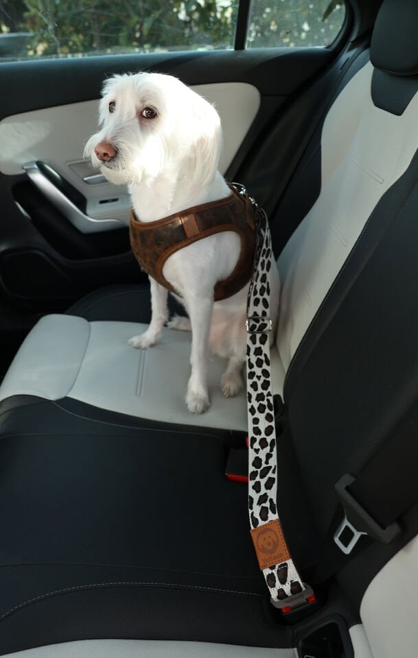 Siyah Beyaz Leopar Desenli Evcil Hayvan Araba Emniyet Kemeri