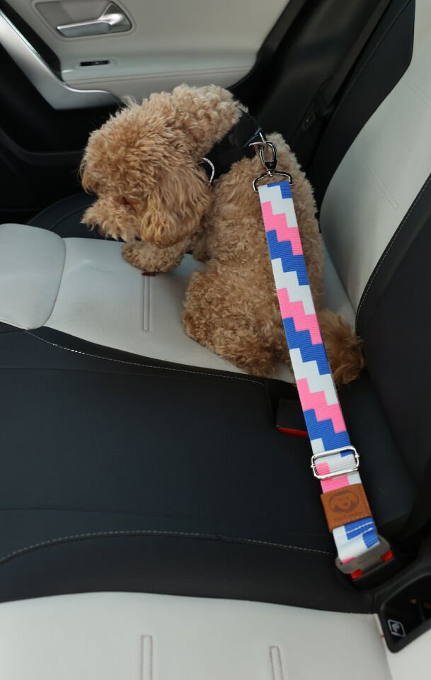 Renkli Lego Desenli Evcil Hayvan Araba Emniyet Kemeri
