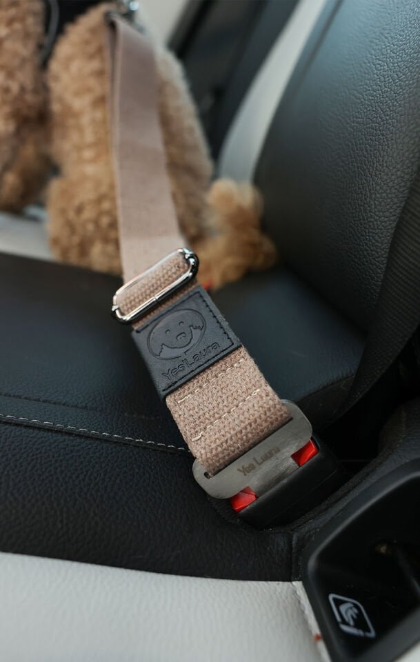 Kahve Evcil Hayvan Araba Emniyet Kemeri