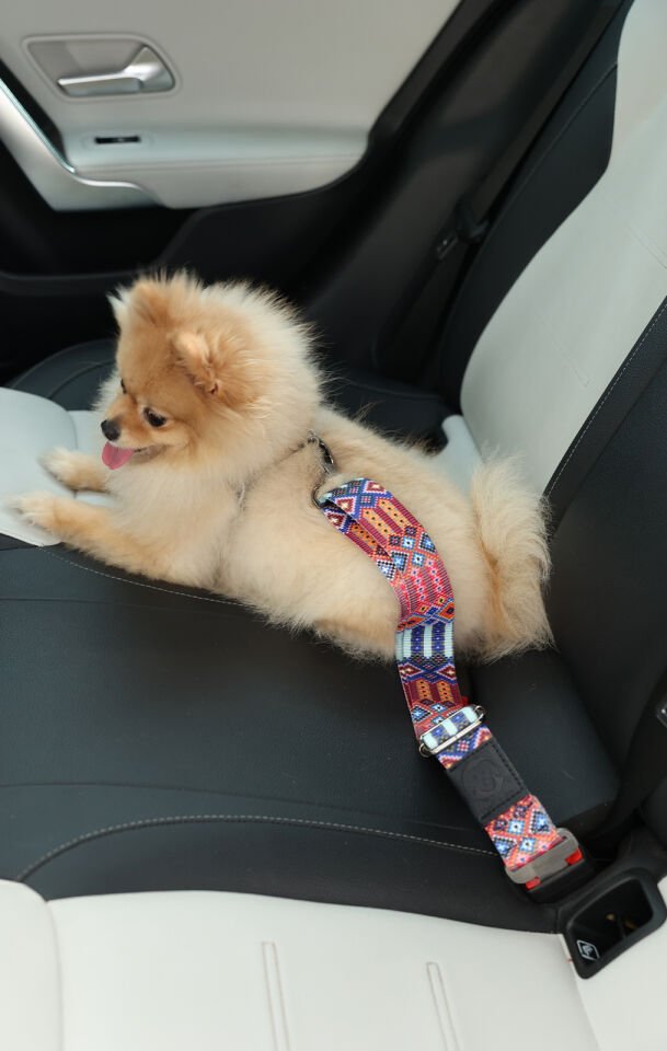 Etnik Desenli Evcil Hayvan Araba Emniyet Kemeri