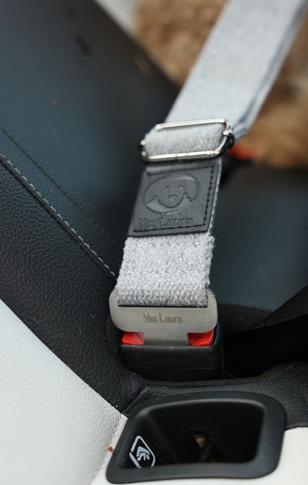 Gri Evcil Hayvan Araba Emniyet Kemeri