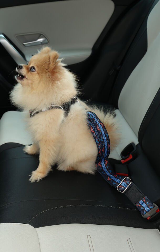 Geometrik Desenli Evcil Hayvan Araba Emniyet Kemeri