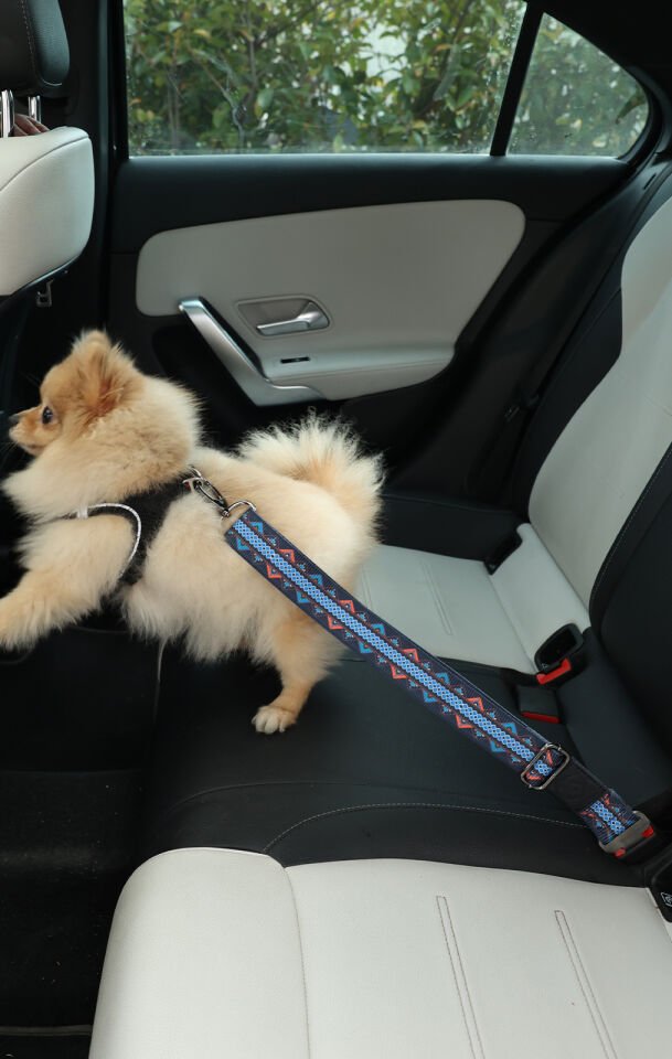 Geometrik Desenli Evcil Hayvan Araba Emniyet Kemeri