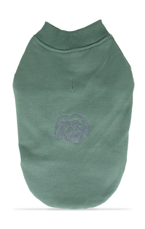 Açık Yeşil Kapşonsuz Sweetshirt