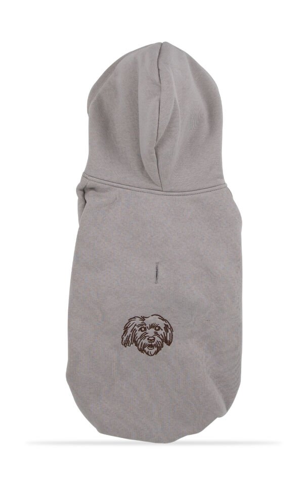 Kül Grisi Kapşonlu Sweetshirt