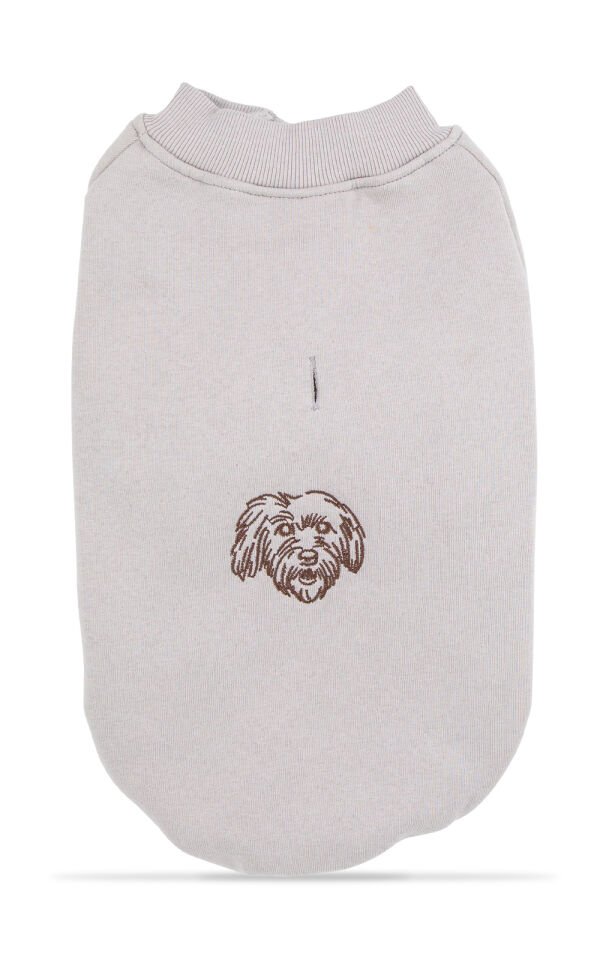 Kül Grisi Kapşonsuz Sweetshirt