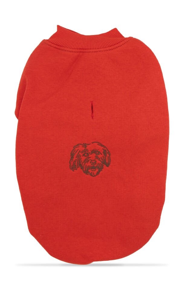 Kırmızı Kapşonsuz Sweetshirt